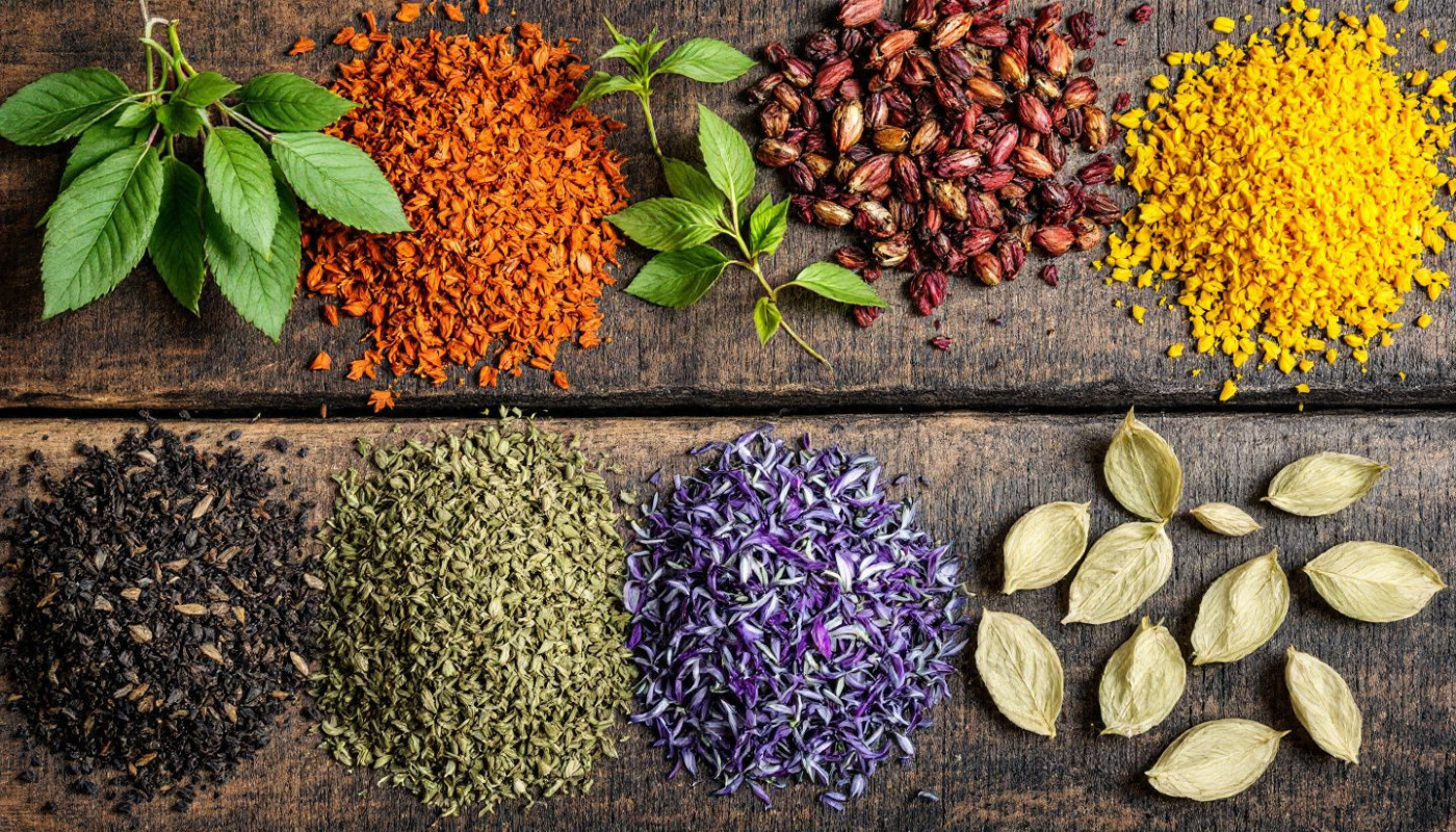 Guide complet des bienfaits des différentes types de thés et tisanes